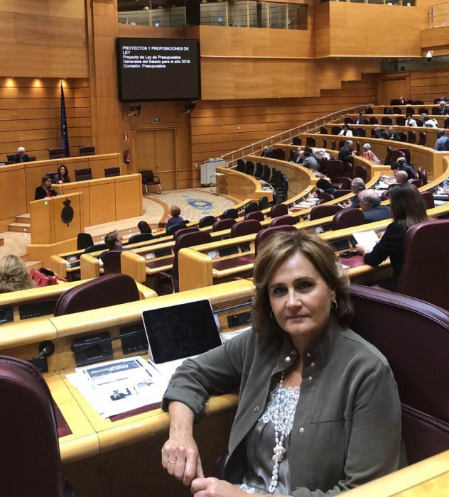 Martínez celebra que el PP haya aprobado en el Senado cuatro enmiendas que beneficiarán directamente a la provincia de Cuenca