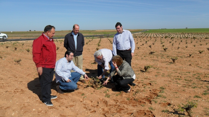 El Partido Popular muestra su apoyo en Las Mesas a los damnificados por el pedrisco del pasado sábado