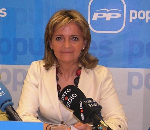 Bonilla: 'Los presupuestos del Gobierno son un claro reflejo del fracaso de la política económica de Zapatero, apoyada por Barreda'