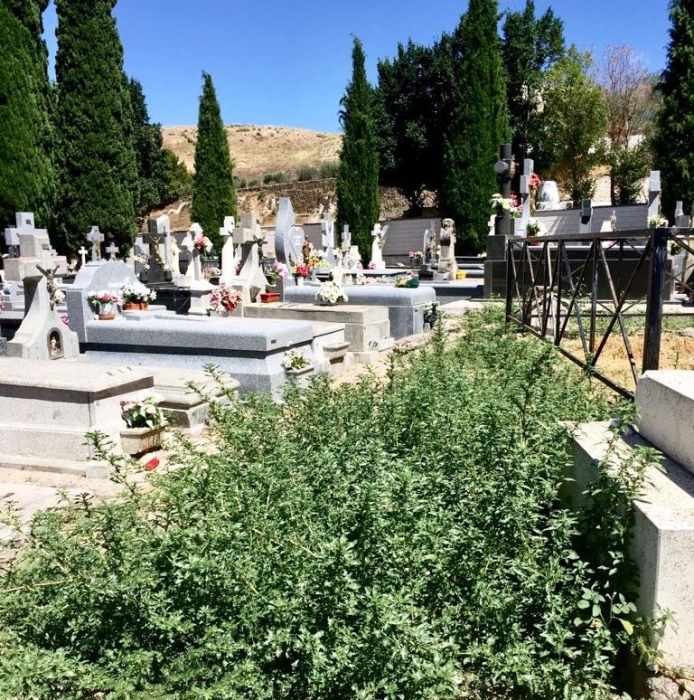 El PP de Barajas de Melo insiste en el “absoluto abandono” del cementerio municipal por parte del Ayuntamiento