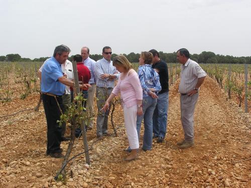 El Partido Popular de Cuenca colaborará desde los ayuntamientos con la concentración convocada por el sector agrario