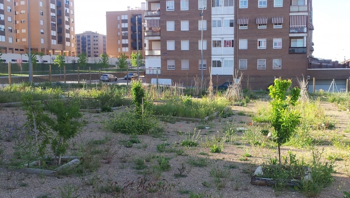 El PP denuncia el abandono de los Huertos de Ocio