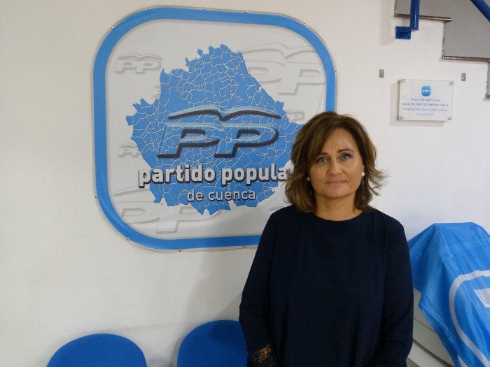 El PP denuncia que el Gobierno de Page ha suprimido el soporte informático que prestaba la Junta a los centros educativos de la provincia